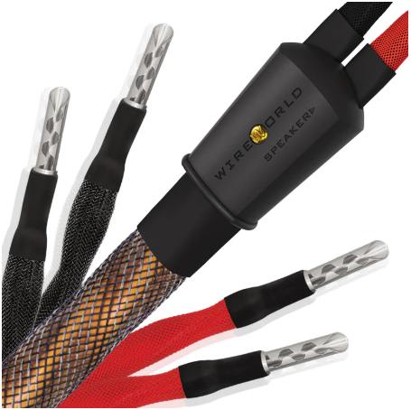 Eclipse 10 Speaker Cable