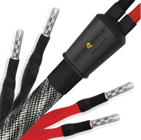 Platinum Eclipse 10 Speaker Cable