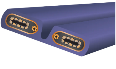 Aurora 10 Power Conditioning Cord